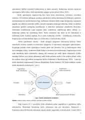 Darbo užmokesčio ir kitų finansinių rodiklių vertinimas transporto sektoriuje 7 puslapis