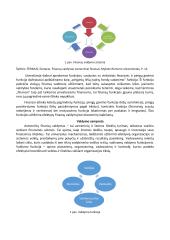 Asmeninių finansų valdymas (esė) 2 puslapis