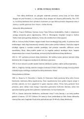 Jonizaciniai dūmų signalizatoriai ir jų panaudojimas 3 puslapis