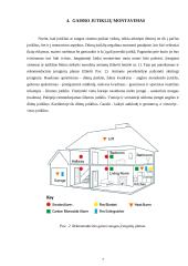 Jonizaciniai dūmų signalizatoriai ir jų panaudojimas 6 puslapis