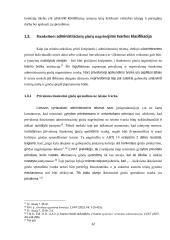 Ikiteisminio administracinių ginčų nagrinėjimo ne teismo tvarka teisinio reguliavimo problematika 11 puslapis