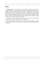 Italijos ir Ispanijos teisminių valdžių palyginimas 2 puslapis