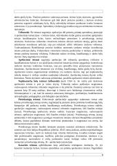 Italijos ir Ispanijos teisminių valdžių palyginimas 4 puslapis