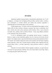 Neįgaliųjų moterų socialinė politika 11 puslapis