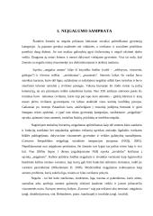 Neįgaliųjų moterų socialinė politika 3 puslapis