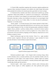 Neįgaliųjų moterų socialinė politika 4 puslapis