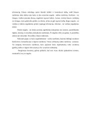 Neįgaliųjų moterų socialinė politika 5 puslapis