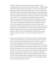 Filmo „Žemės žvaigždutės“ refleksija 4 puslapis