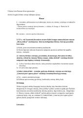 Literatūra – istorinis epochos dokumentas