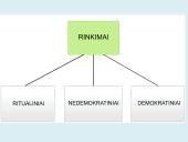 Rinkimų esmė. Lietuvos rinkimų sistema. Piliečių dalyvavimas politikoje 4 puslapis