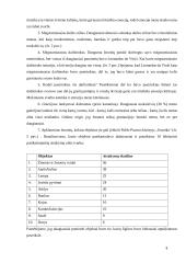 Kaip menas veikia žmogų? 7 puslapis