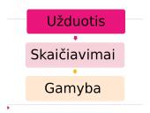 Koncentracijų rūšys 13 puslapis