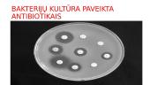 Antibiotikai (skaidrės) 11 puslapis