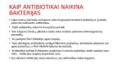 Antibiotikai (skaidrės) 10 puslapis