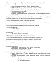 Organizavimas 2 puslapis