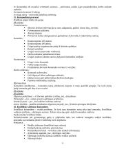 Organizavimas 12 puslapis
