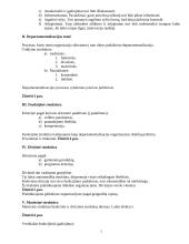 Organizavimas 3 puslapis