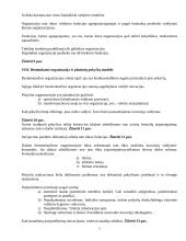 Organizavimas 5 puslapis