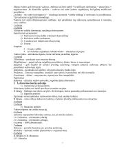 Organizavimas 7 puslapis