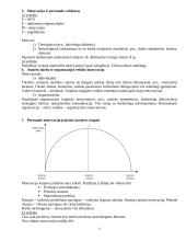 Organizavimas 9 puslapis