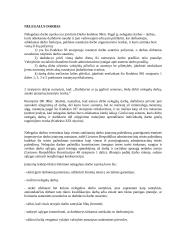 Nelegalus darbas. Bylos analizė