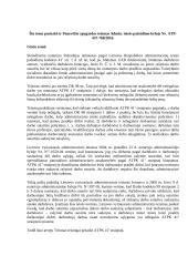 Nelegalus darbas. Bylos analizė 2 puslapis