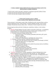 Darbo teisės principai ir jų realizavimas Lietuvos Respublikos Darbo kodekse