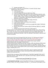 Darbo teisės principai ir jų realizavimas Lietuvos Respublikos Darbo kodekse 2 puslapis