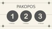 Pensijos ir jų pakopos  3 puslapis
