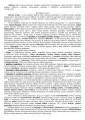 Įvadas į pedagogiką 11 puslapis