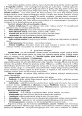 Įvadas į pedagogiką 13 puslapis