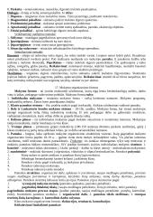 Įvadas į pedagogiką 16 puslapis