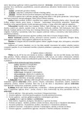 Įvadas į pedagogiką 3 puslapis