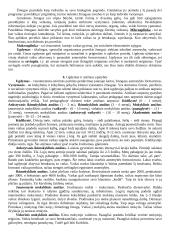 Įvadas į pedagogiką 5 puslapis