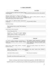 2024 – 2027 m. kelionių agentūros „Aplink pasaulį” strateginis veiklos planas 12 puslapis