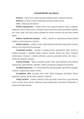 2024 – 2027 m. kelionių agentūros „Aplink pasaulį” strateginis veiklos planas 2 puslapis