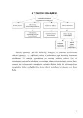 2024 – 2027 m. kelionių agentūros „Aplink pasaulį” strateginis veiklos planas 6 puslapis