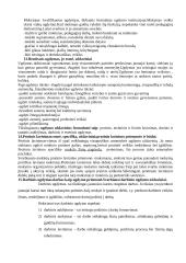 Pedagogikos pagrindų teorija 4 puslapis