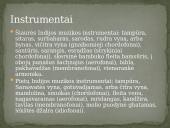 Indų tradicinė muzika 7 puslapis