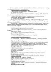 Klasės auklėtoja 3 puslapis