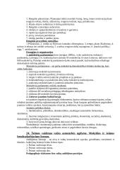 Klasės auklėtoja 4 puslapis