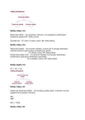 Makroekonomikos konspektas koliokviumui 17 puslapis