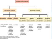 Širdies ir kraujagyslių sistemą veikiantys vaistai 2 puslapis