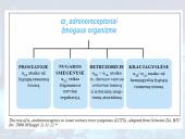 Širdies ir kraujagyslių sistemą veikiantys vaistai 4 puslapis