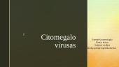 Citomegalo virusas