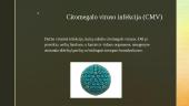 Citomegalo virusas 2 puslapis