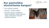 Stovinčios bangos 18 puslapis