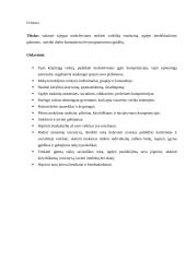 Neformaliojo vaikų švietimo programa. Informatikos būrelis „Programuojame žaisdami"  1-4 kl. 2 puslapis