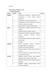 Neformaliojo vaikų švietimo programa. Informatikos būrelis „Programuojame žaisdami"  1-4 kl. 3 puslapis