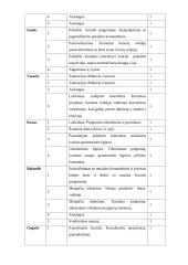 Neformaliojo vaikų švietimo programa. Informatikos būrelis „Programuojame žaisdami"  1-4 kl. 4 puslapis